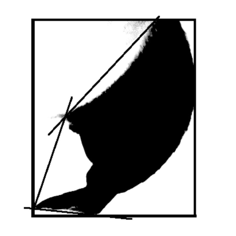 Overview of Process: Developing an Envelope | freearttraining.com